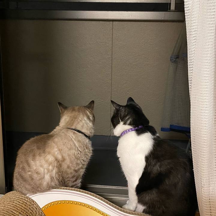 Ecbe9713 6feb 483f 865a 06fe9f37bef0 1598104682789