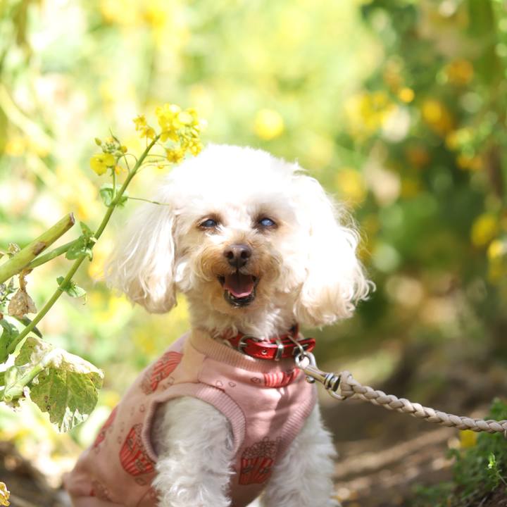 Ecbe973d 1d72 4803 9d0f ef22a161afa6 1616065745970