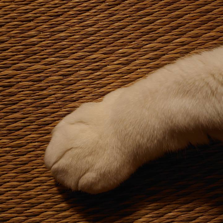 Ecbea3c0 cd58 4420 b5fd 68c6103c51c2 1619000346107