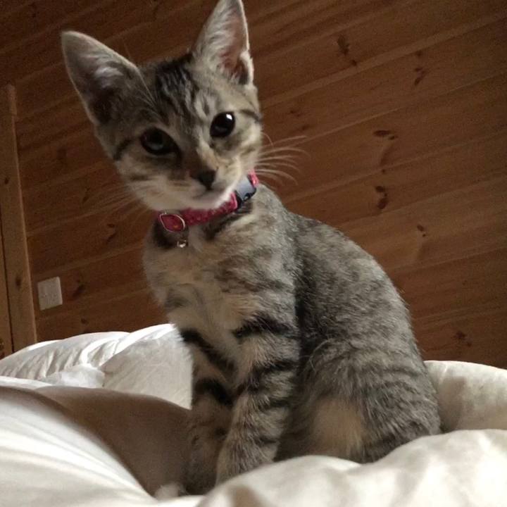 Ecbeaef5 a2f4 43c3 b6d5 adcfcad3b7c8 1545524144929