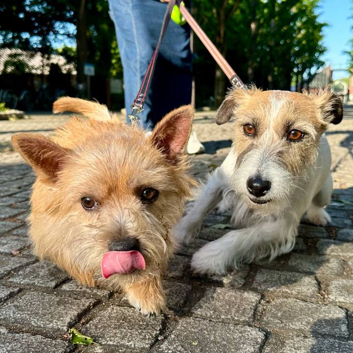 Ecbf1b72 71ae 4578 b364 1b0e544d40a0 1715443169795