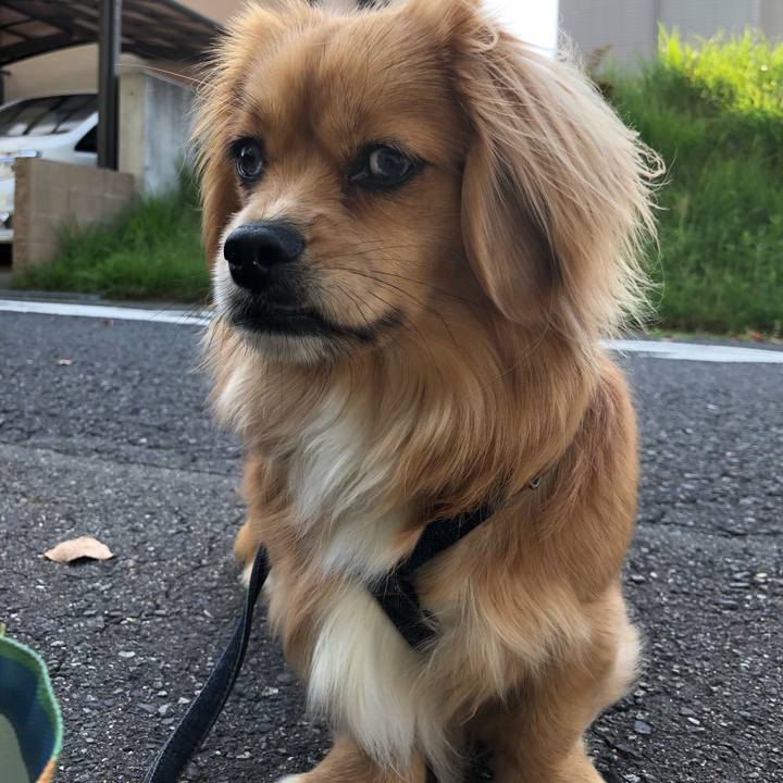 Ecbf381f 81bb 4d17 847d e4a4e86f2d6c 1524269216317