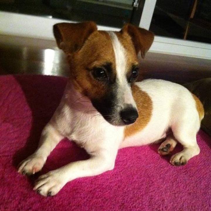 Ecbf44e4 5251 4ee2 b74f 5432a6d0e7c5 1659825877838