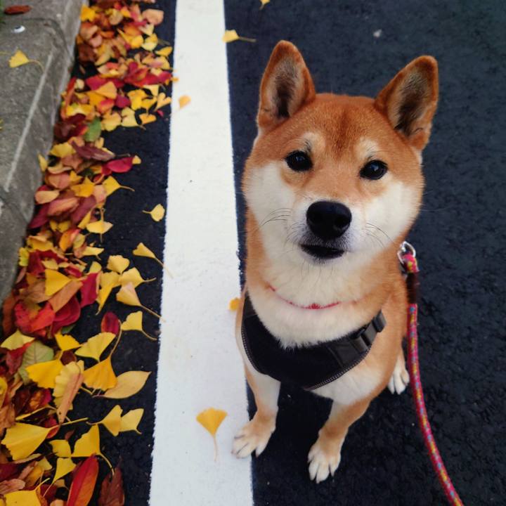 Ecbf49e5 cc3a 4df5 910f beef938e8276 1764584154473