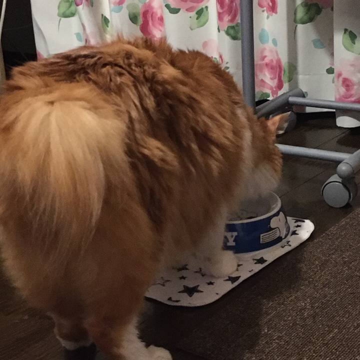 Ecbf61bd 9b7b 4182 a34f 1a33551e526b 1571150455269