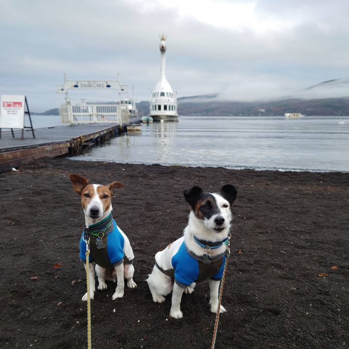 Ecbf6c0b 382f 44fb 88c8 1f1a45743334 1731794698593