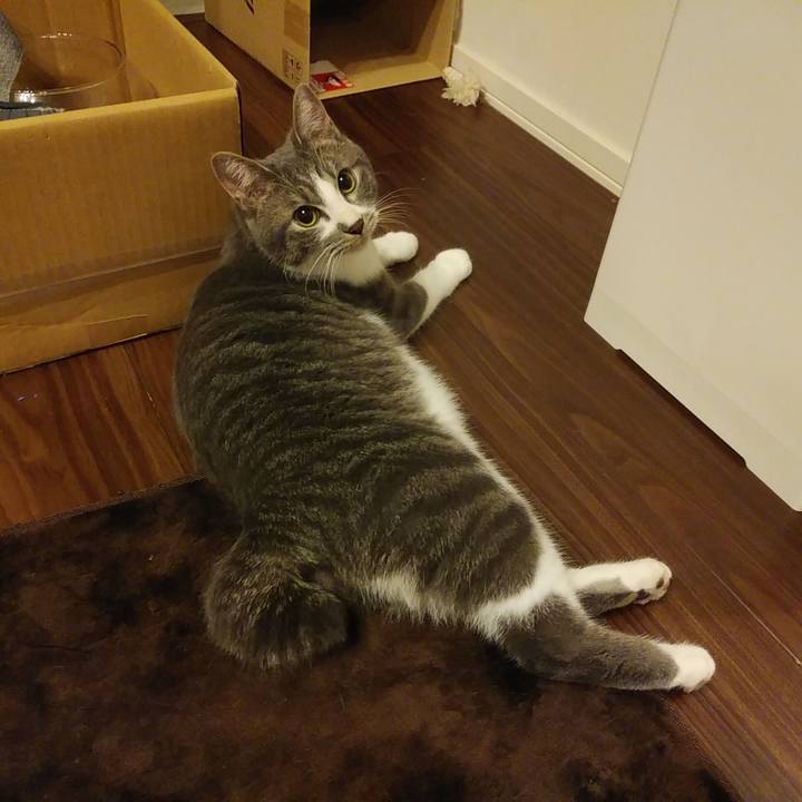 Ecbf7627 0c1c 4ce7 9b2f 7567fcb51fb1 1578239584756