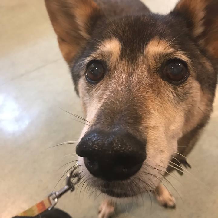 Ecbf9247 ed74 43ed a88f add7c53b45ee 1541493353574