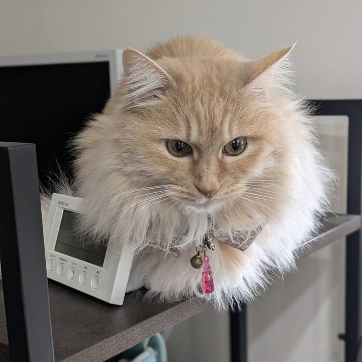 Ecbfabf0 f8ee 41d3 b3fe 3d81259e9ea3 1774269006307