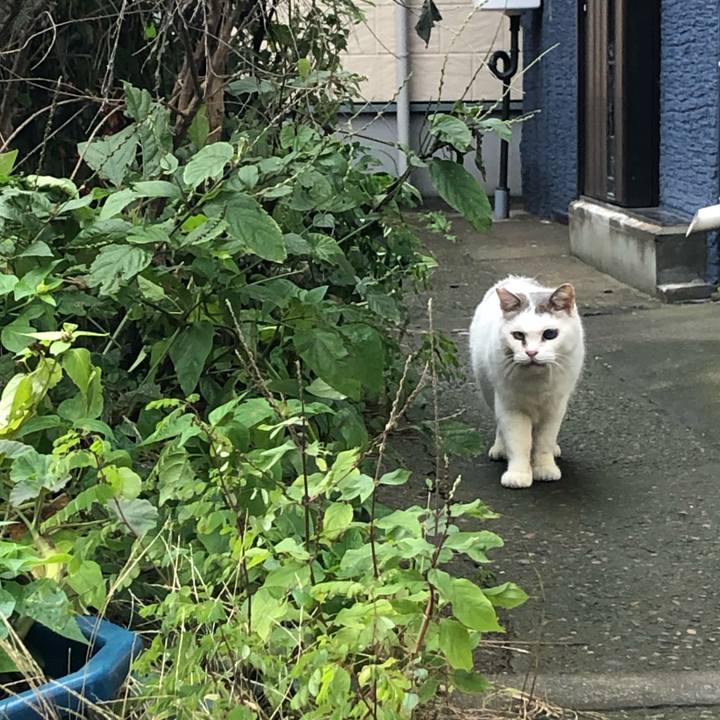 Ecbfad0b 0872 417b 8a36 28b549ec92fd 1575206638094