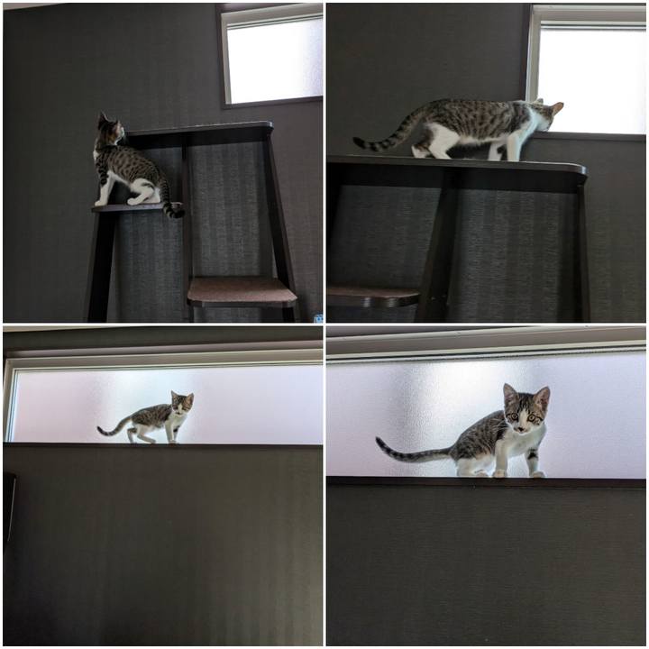 Ecbfbfd6 ba04 404a abff e732990f235d 1722161485164