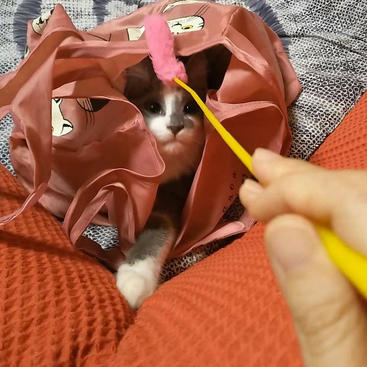 Ecbfd023 0dee 4d5b bc20 b611edfc4cdc 1566819414023