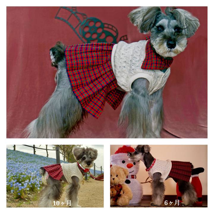 Ecc0031c 41b1 4b10 b631 6aeb94b21741 1714185497680