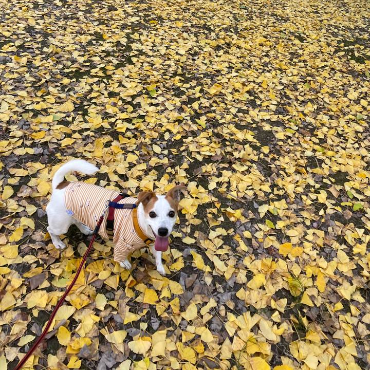 Ecc0309a 9f63 4114 929d e0f0a5f46404 1668772476949