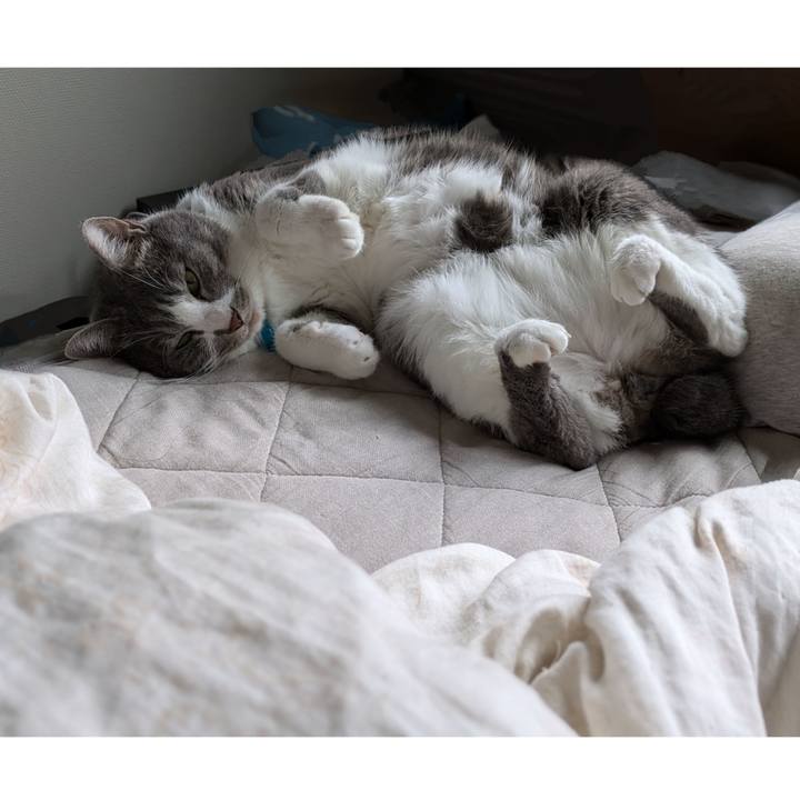 Ecc03973 c3c8 4b88 8848 037ec18a38ad 1728257295770