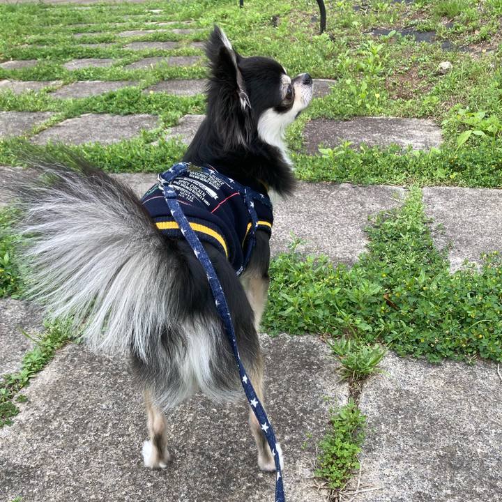 Ecc04176 eb08 4bd3 be65 15c8dad70a67 1651401611357