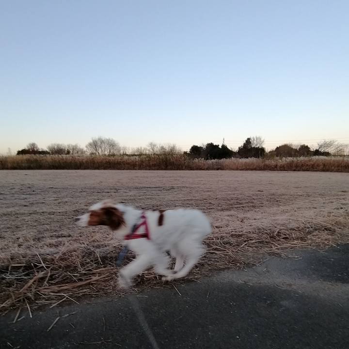 Ecc0bd6a cca3 4ae9 9cba c91a0a9294ac 1578268406745