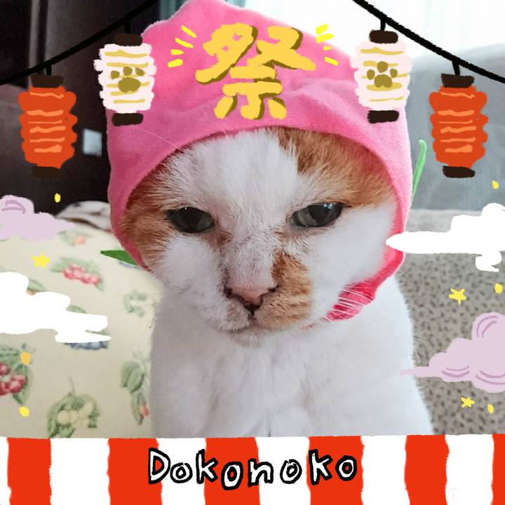 Ecc0c47c 0a29 4a1c 8d16 f0c1eea5bf4b 1723202001090