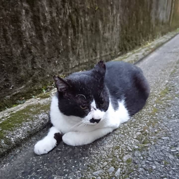 Ecc0cd08 eef0 4e67 81d4 b9fc5e5598b0 1598347618756