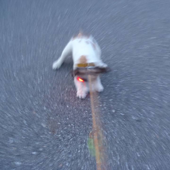 Ecc0d1bf 063d 490d 9176 14b7fa3b2d45 1516703314378