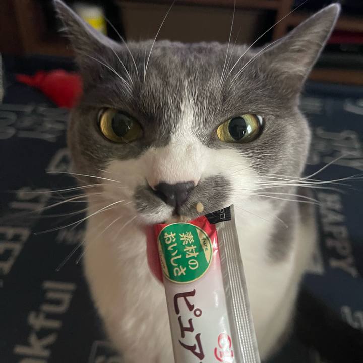 Ecc15e26 f319 4c02 9859 71aa3d299885 1721025058584