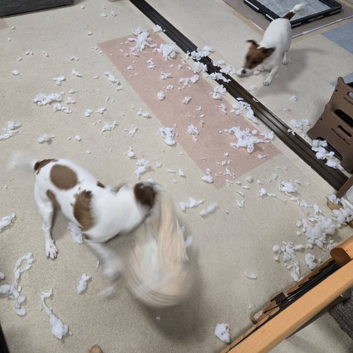 Ecc19b97 a3d1 4c70 9a96 bbcf3389320f 1773100712895