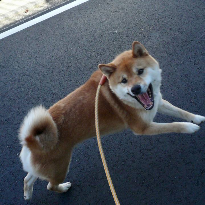 Ecc19cdc 4725 4ff6 bdaf c444f2778cd5 1624620218668