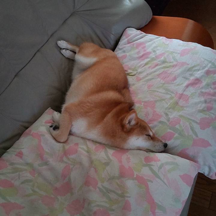 Ecc20eb6 7206 445a bc31 3fe9cd21fc52 1722228628500