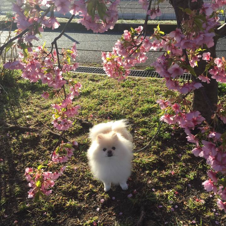 Ecc21138 5fc4 4c80 962c f3bbedfaaa1e 1583193070106