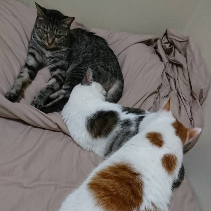 Ecc22bdf 67e4 4799 86ff f7a90b002aa7 1605304459213