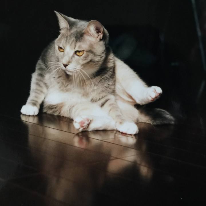 Ecc2c078 ac27 4ffe 8404 d569bdc1df40 1592805095170