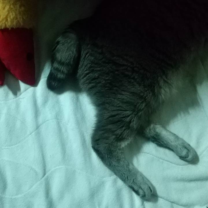 Ecc2c232 98e6 4202 9717 4cd3441ef63d 1685218643910