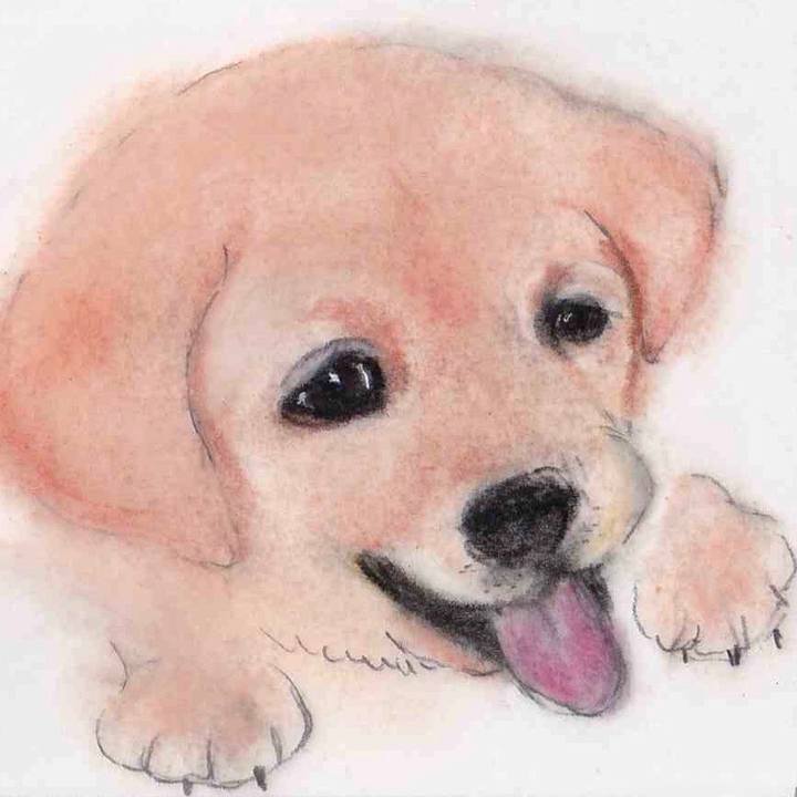 Ecc2ee38 584c 4609 8326 40a7af92f8d0 1641432064143