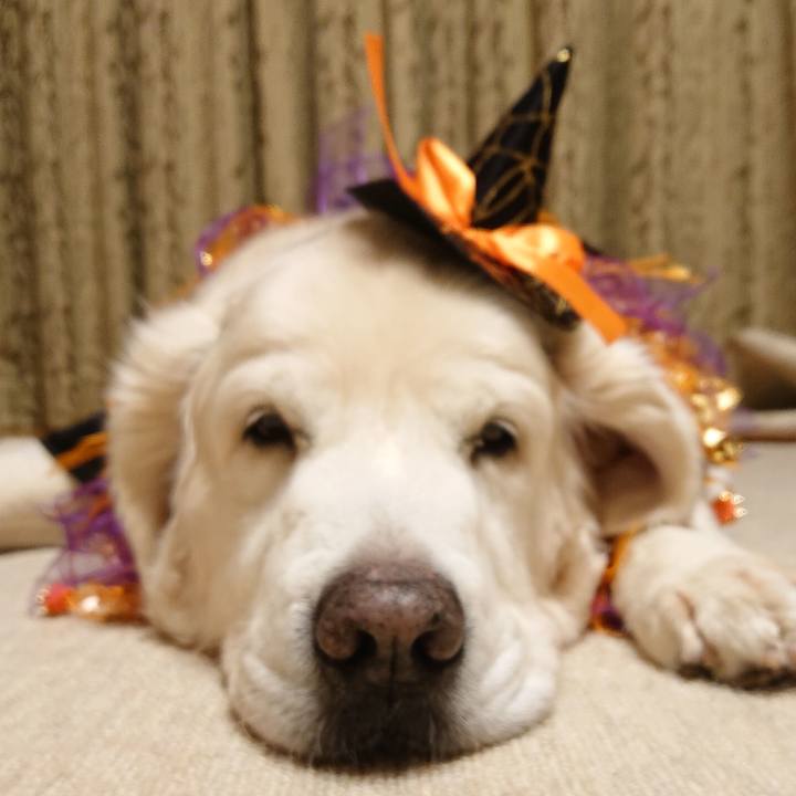 Ecc2f749 9bef 4a84 a995 60367f1dcf46 1572443961254