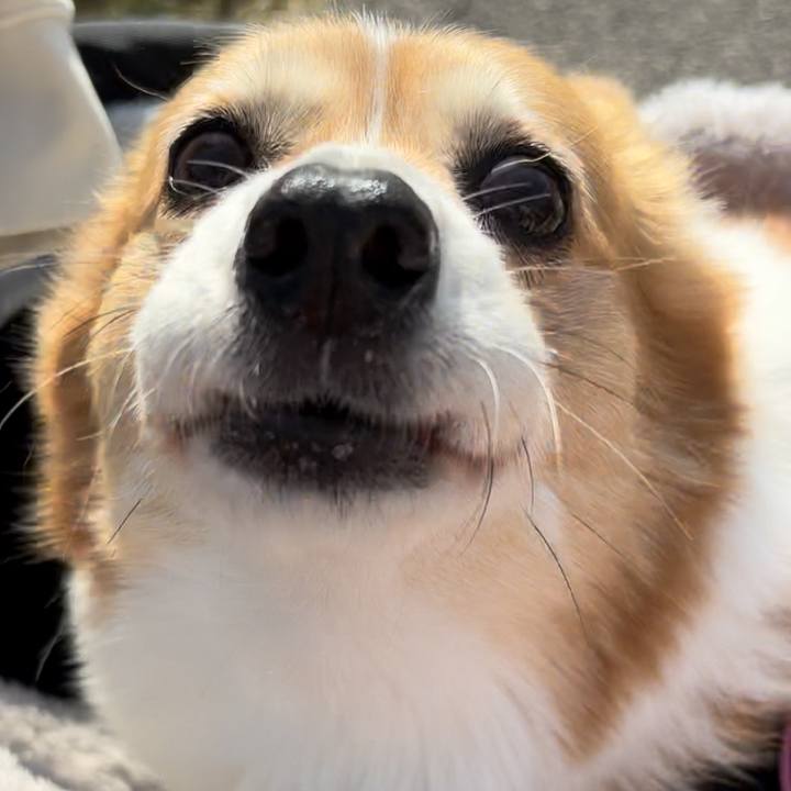 Ecc3235f 54c7 4f3a 9926 52de1c00fc46 1739677680376