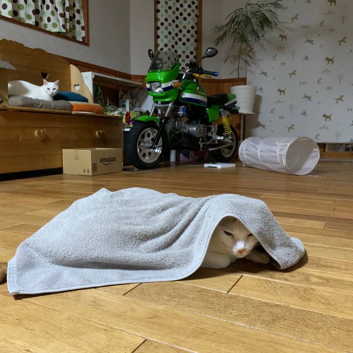 Ecc371fe fb72 4499 9948 6b295806b32a 1661342633337