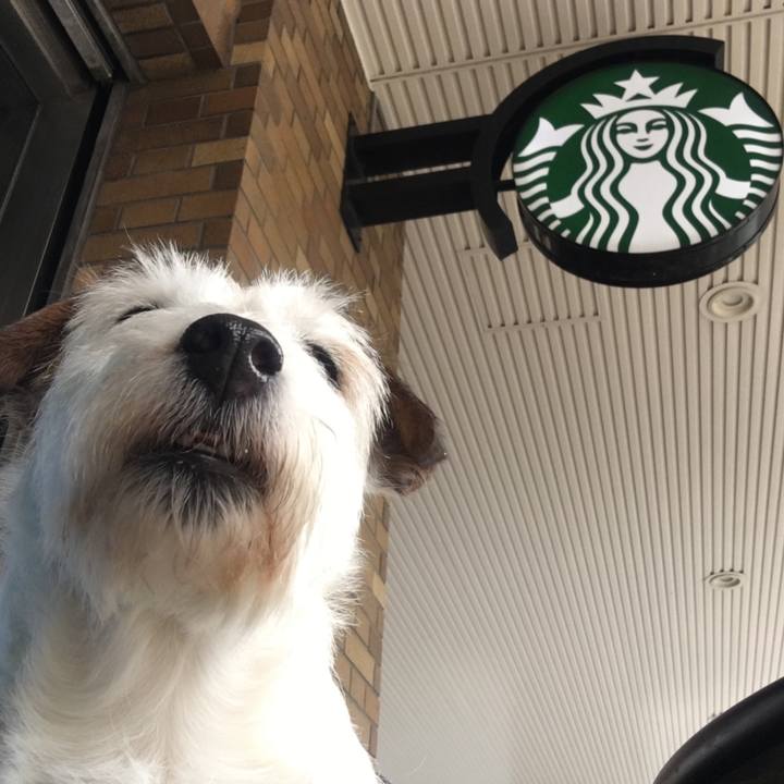 Ecc3a101 476b 4509 b2fb 8d4a2c0cda25 1592563717612