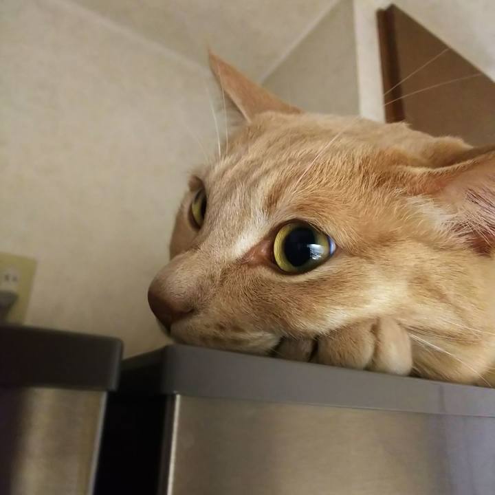 Ecc3ca5d bbd5 410e a331 94d4b647d542 1590224453095