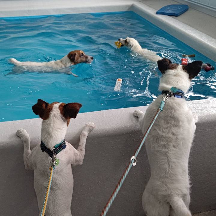 Ecc3d3af a948 4196 812c bb08ebb6b679 1686225022444