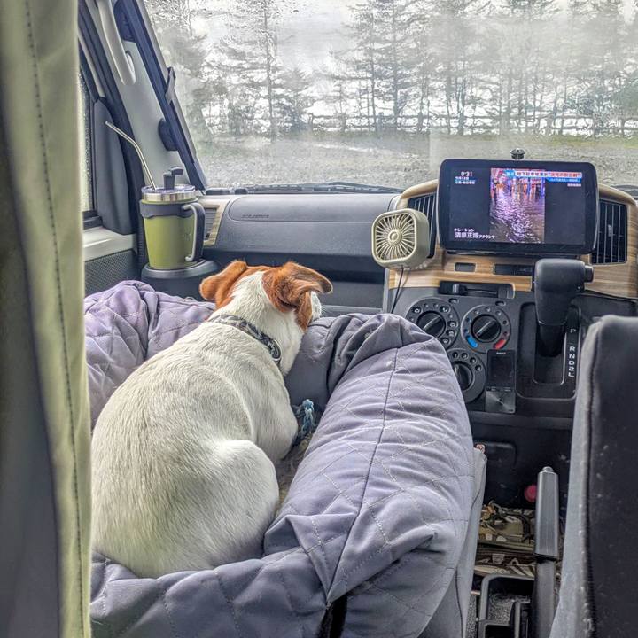 Ecc405a2 6e8b 42dd 88c0 445f1f229535 1758259338162