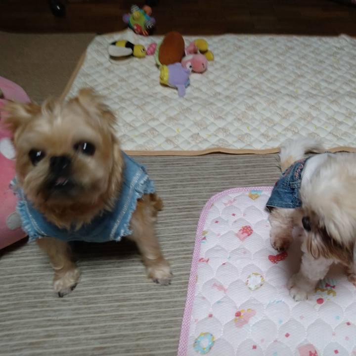 Ecc40998 e54e 45fe 9905 b4c0b5fd41ca 1600432946733