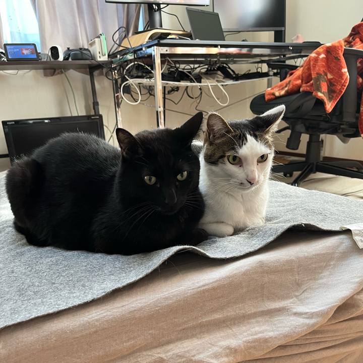 Ecc40e96 8e6e 445e 9ced f1d64042a9ca 1709009242168