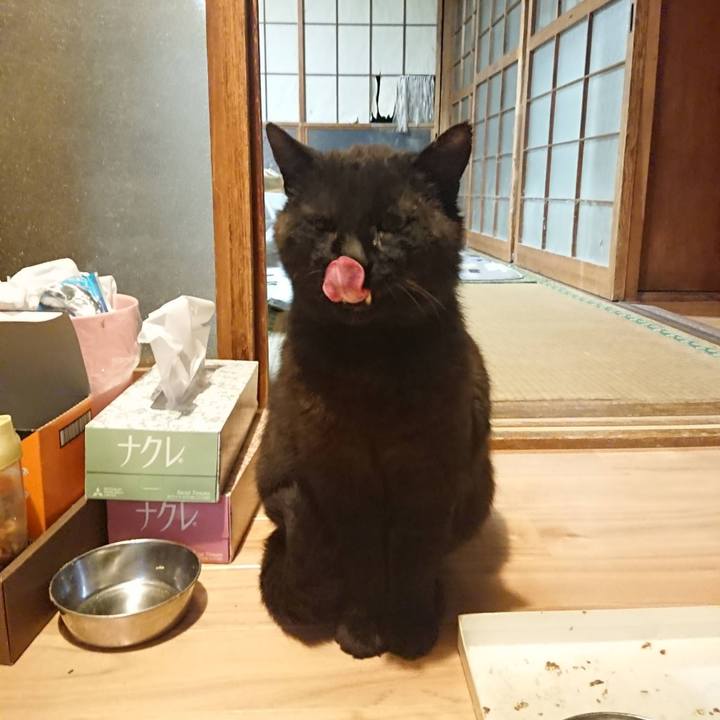 Ecc4192f cd44 4271 a695 778bc0fcc50a 1622297375376