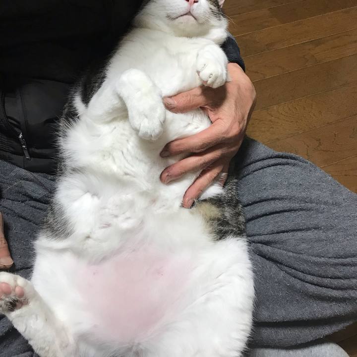 Ecc425bb 4648 4965 a5ec 965df7397543 1610710137179