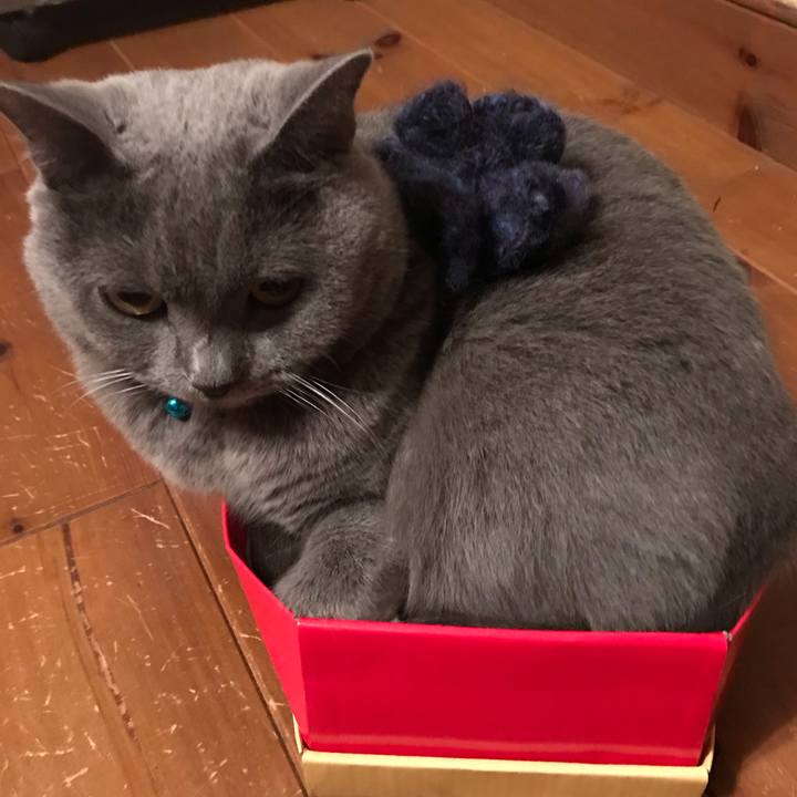 Ecc44809 ed2d 478d b1b4 987612826bc9 1540990345261