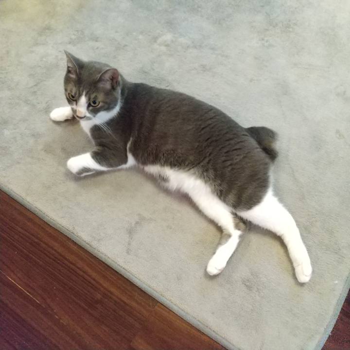 Ecc4758b 4e58 400c 9ada 52ae7111617a 1621374535352