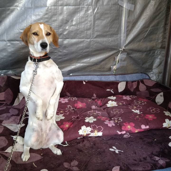 Ecc47d70 84ea 4e54 abc0 50ae72f17e31 1636947535635