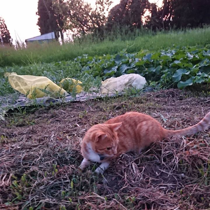 Ecc4b94a 3e9b 4abe bca6 40b8c6673911 1564999787449