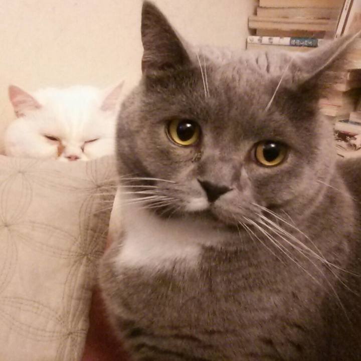 Ecc4d89a 60fd 44e6 b95b 89e3bc90b005 1582325157631