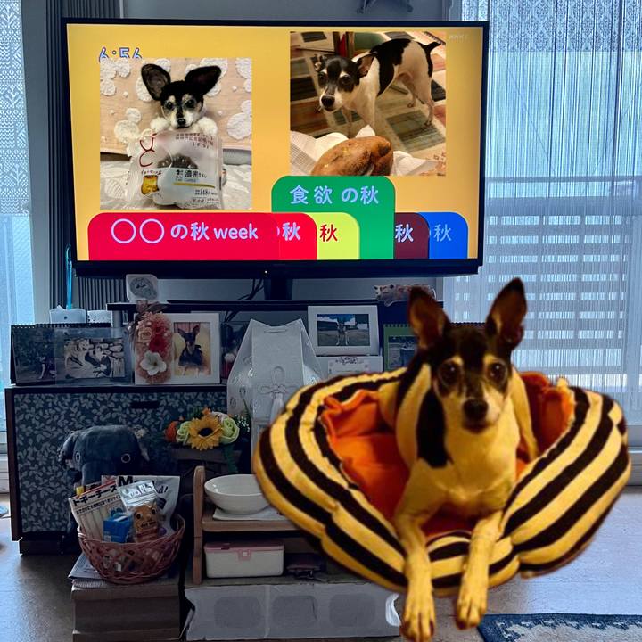 Ecc4f135 4523 4eb7 921f 672d688c981a 1664924057944